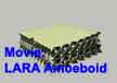 Movie (12 MB) (.avi) LARA amoeboid movement, Right Click Menu for Download